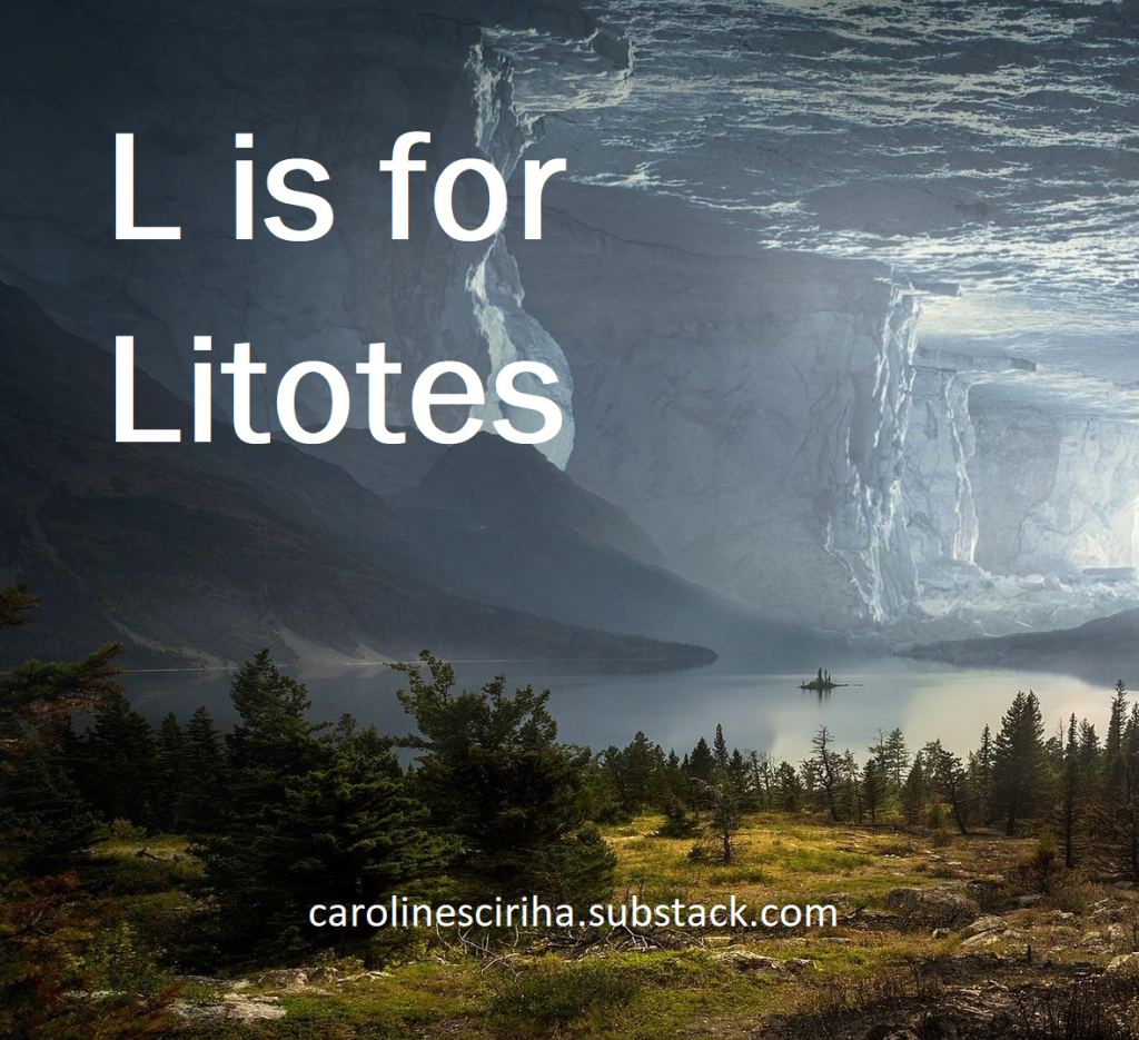 Litotes literary device